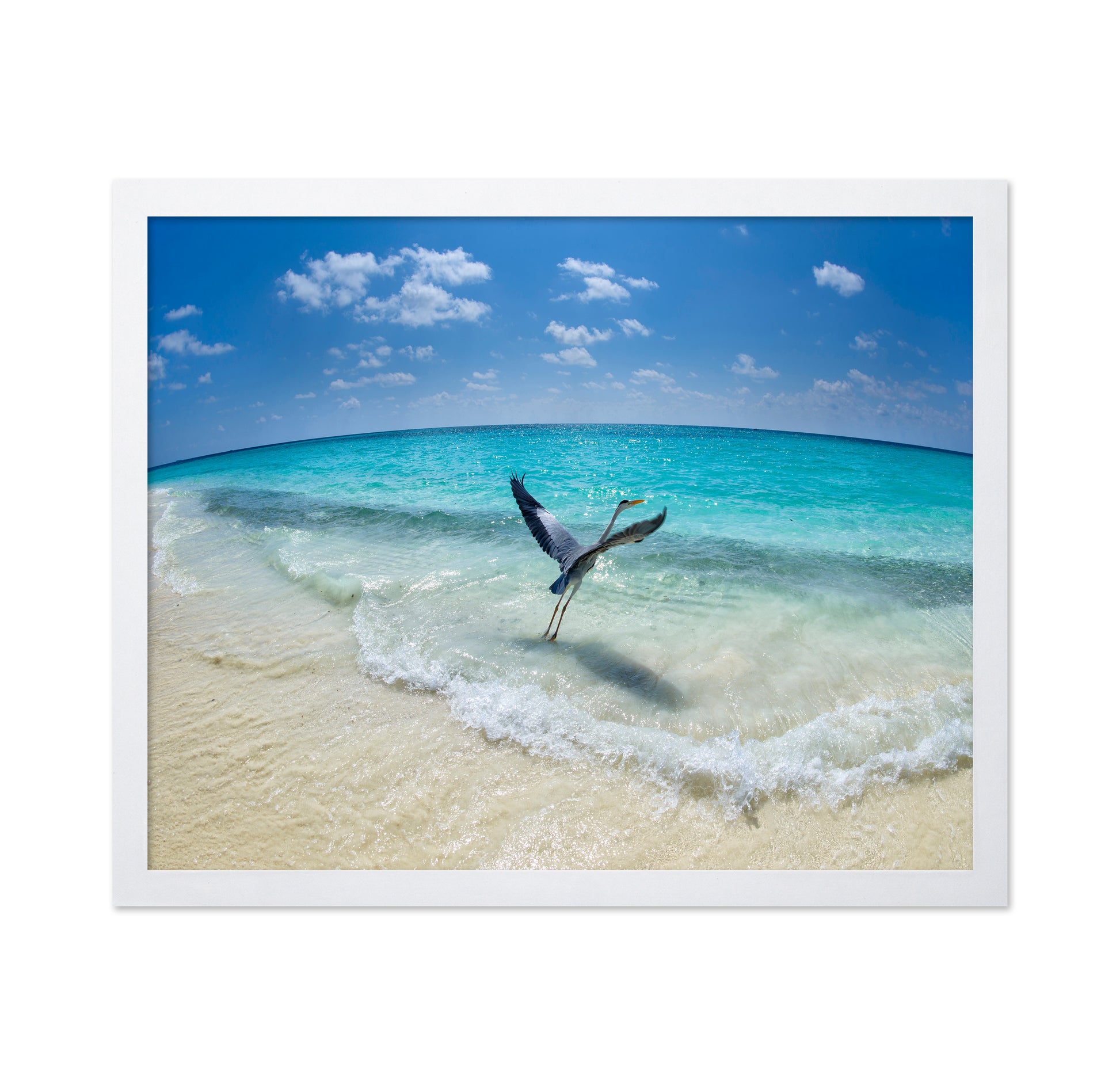 Heron Takeoff No1
