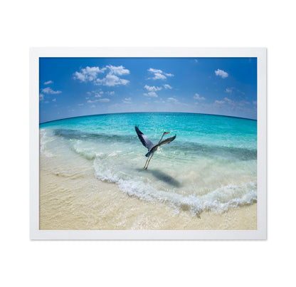 Heron Takeoff No1