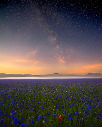 Milky Way Meadow