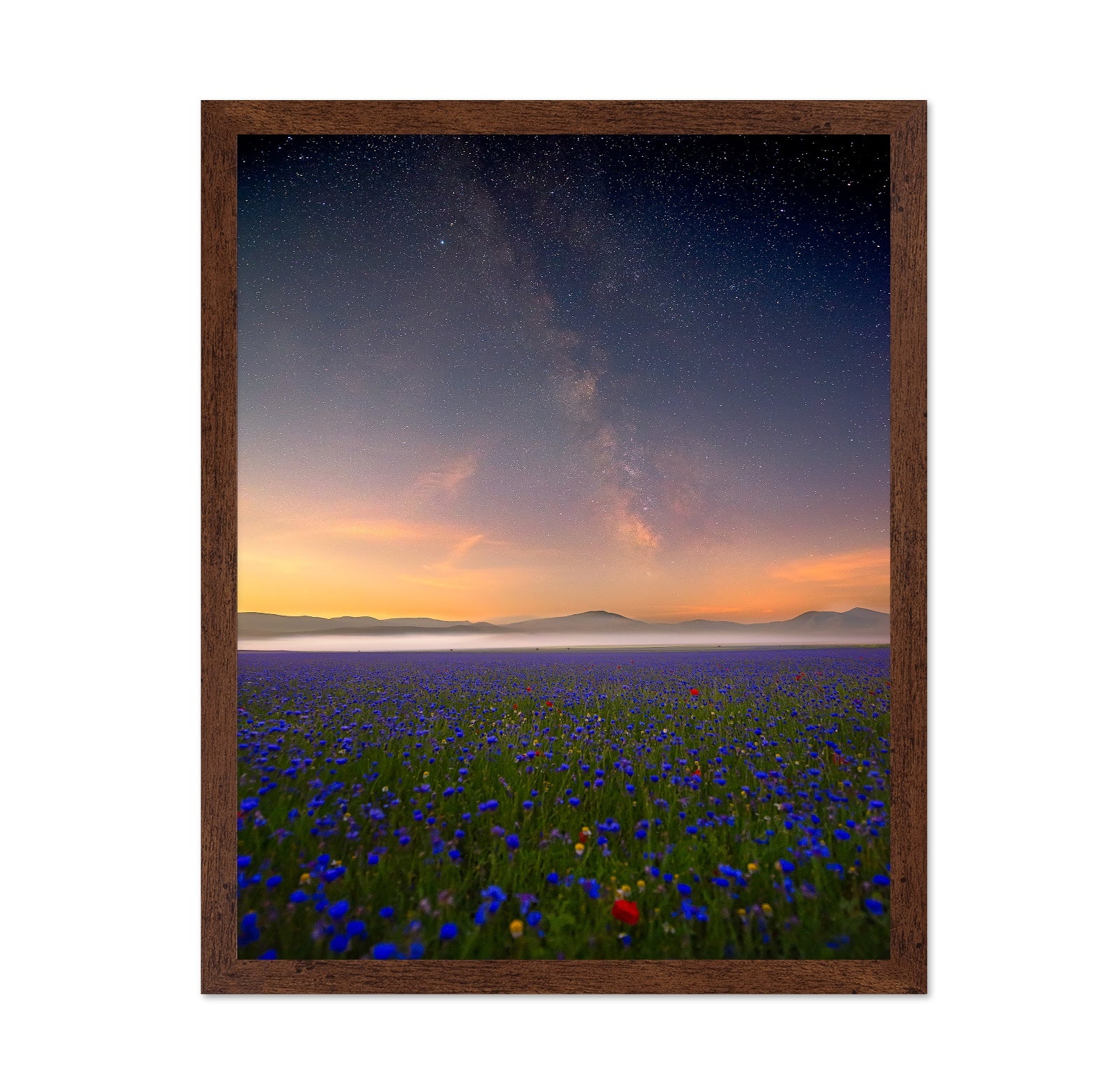 Milky Way Meadow