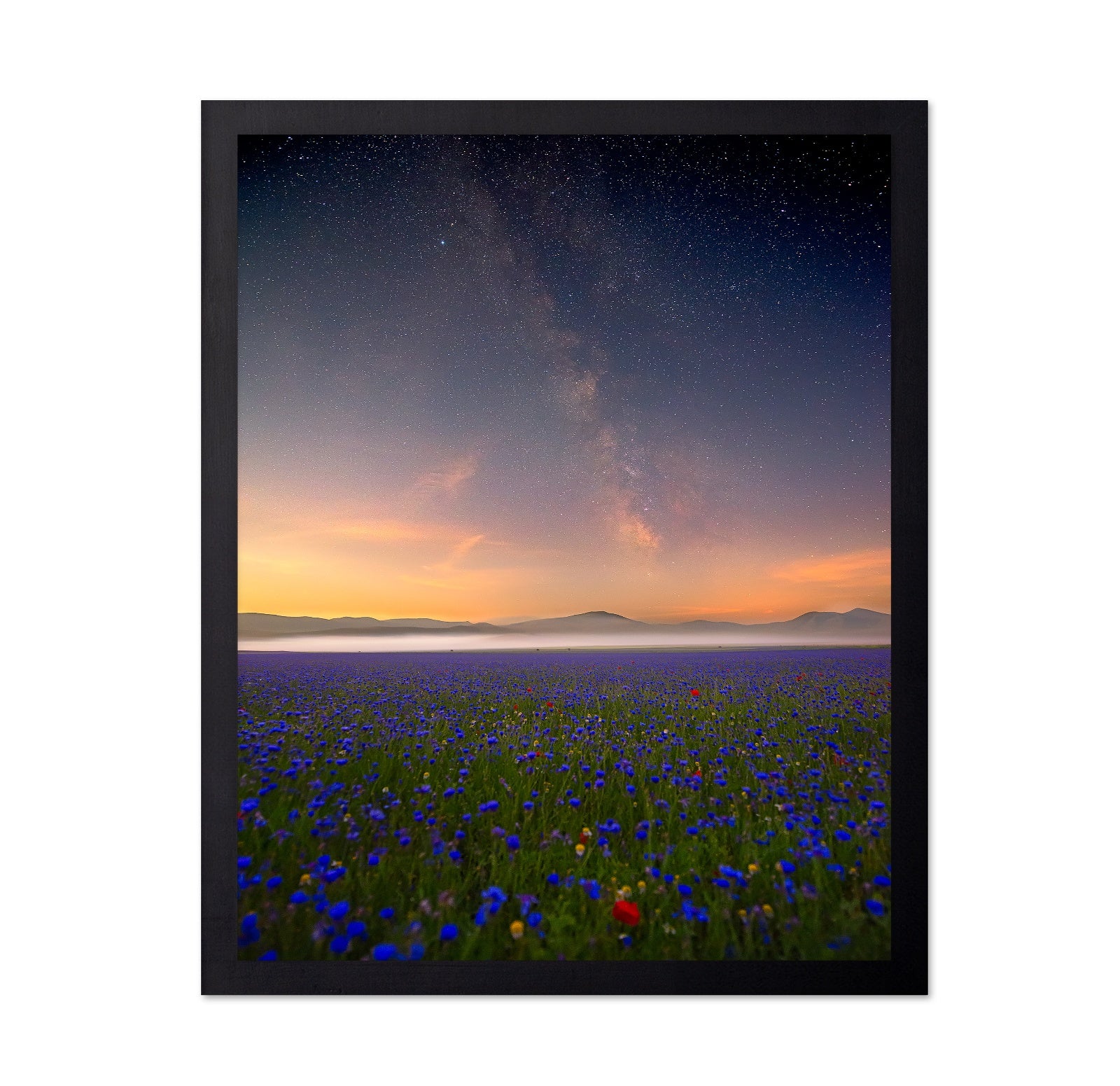 Milky Way Meadow