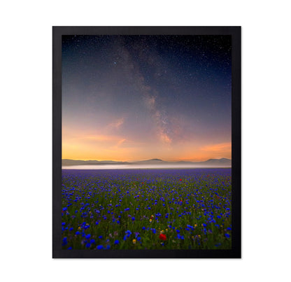 Milky Way Meadow