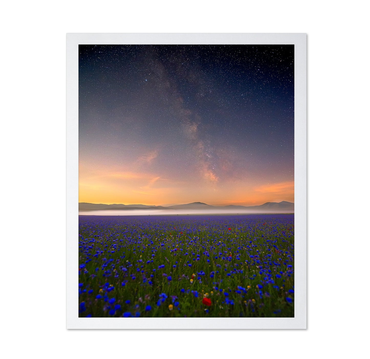 Milky Way Meadow