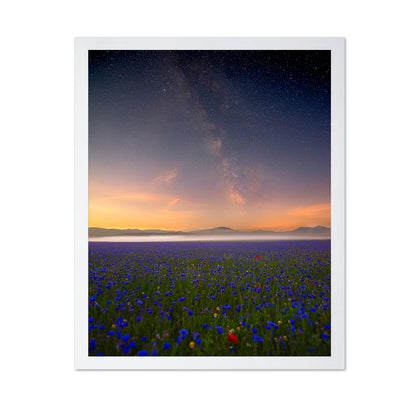 Milky Way Meadow