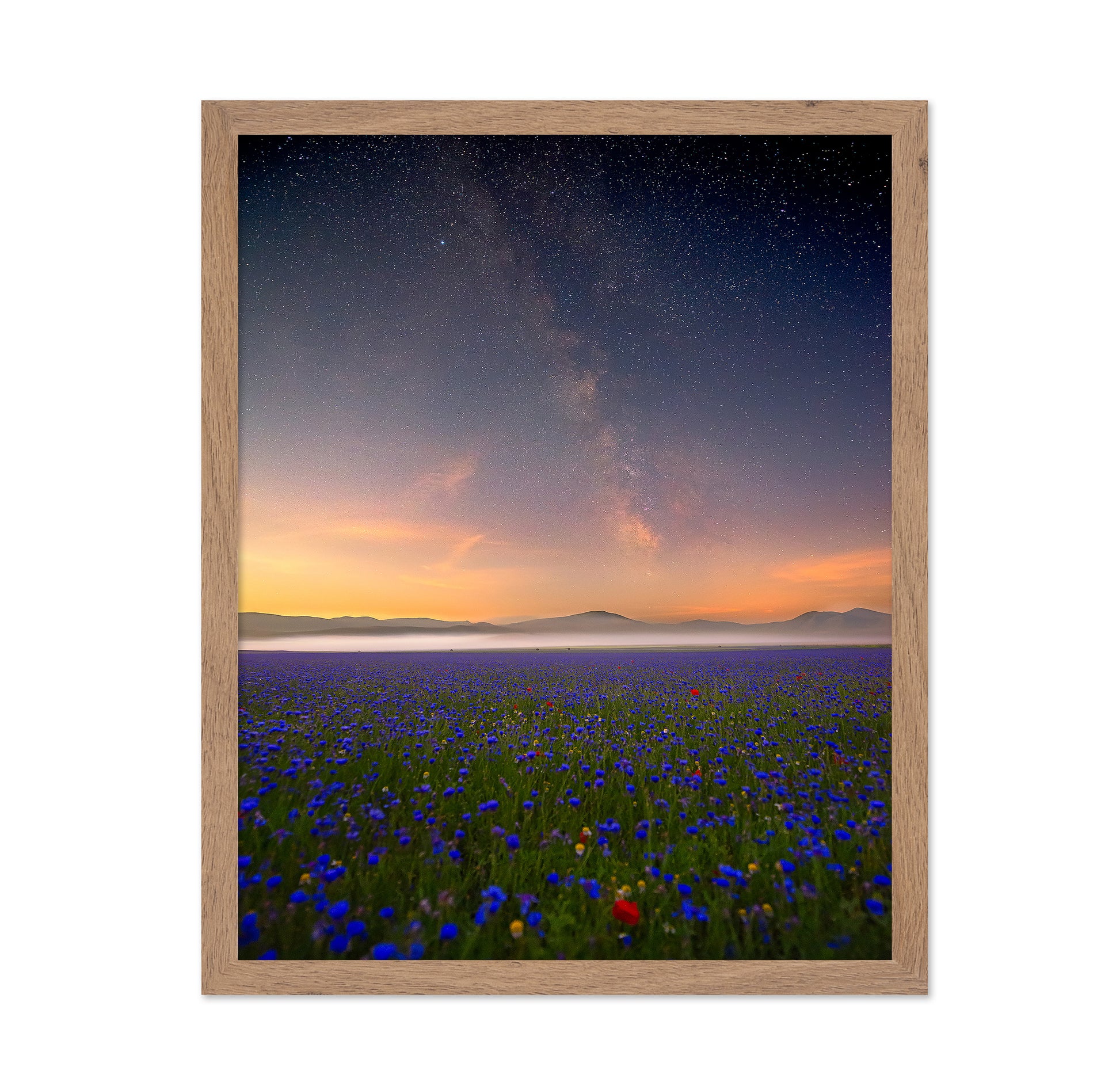 Milky Way Meadow
