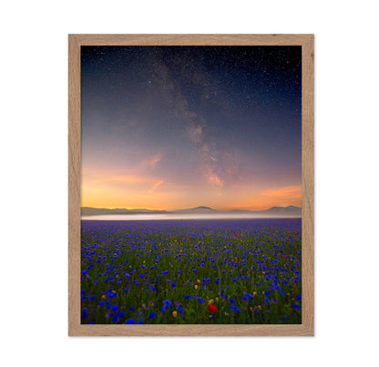Milky Way Meadow