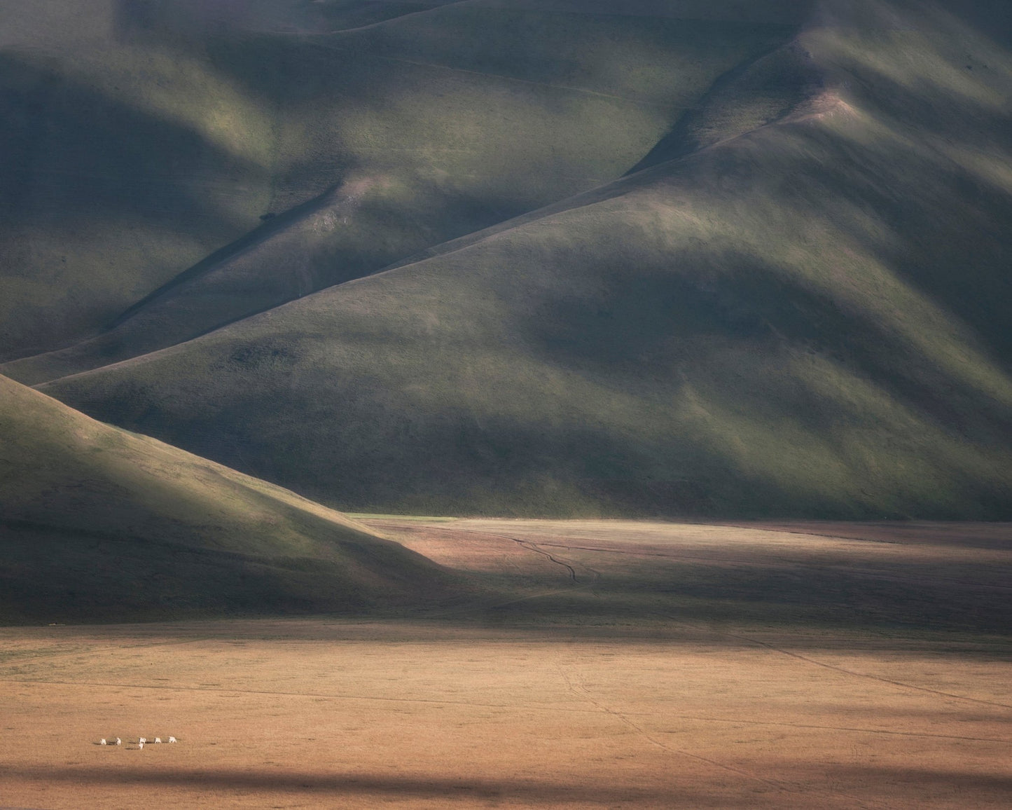 Rolling Hills Light