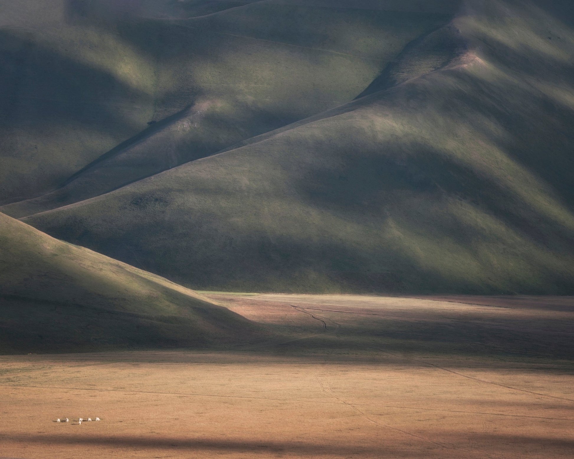 Rolling Hills Light