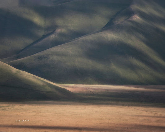 Rolling Hills Light