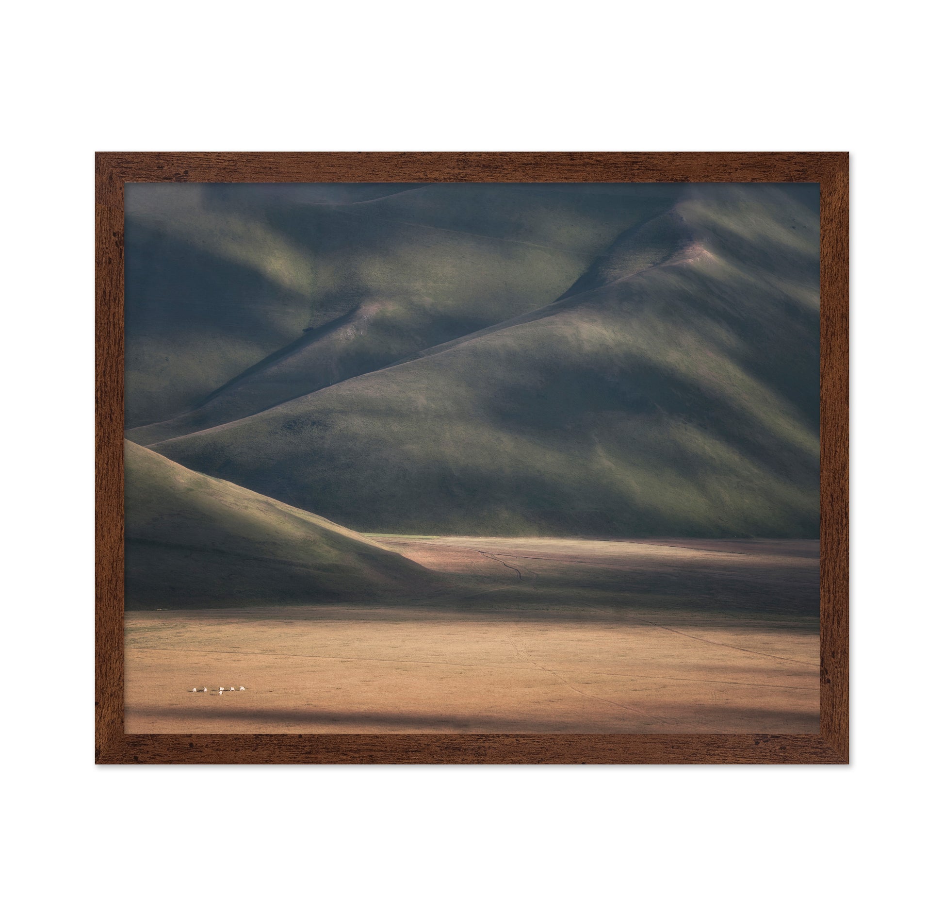 Rolling Hills Light