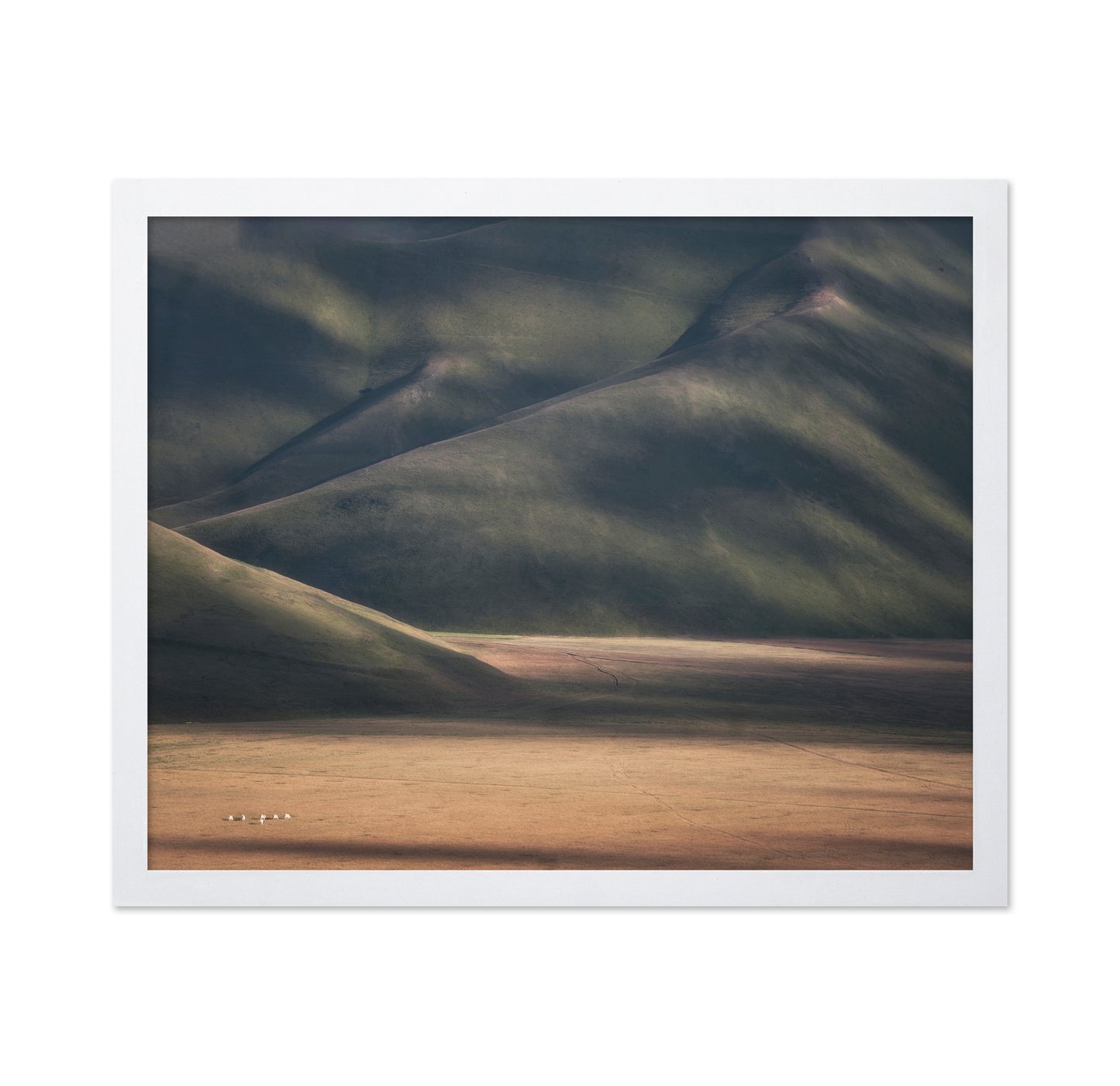 Rolling Hills Light