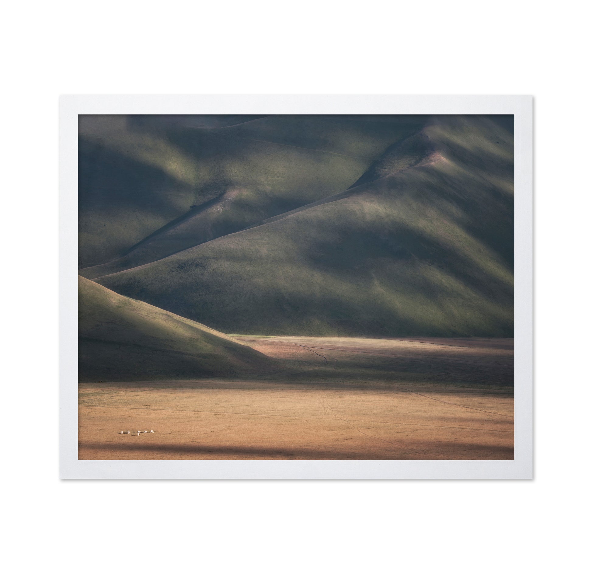 Rolling Hills Light