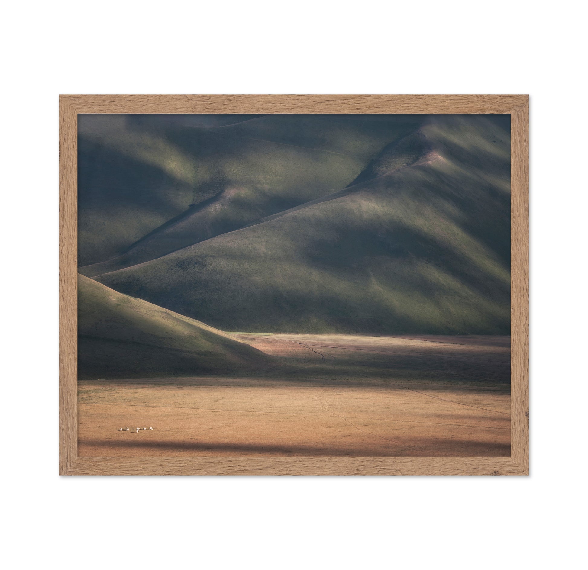 Rolling Hills Light