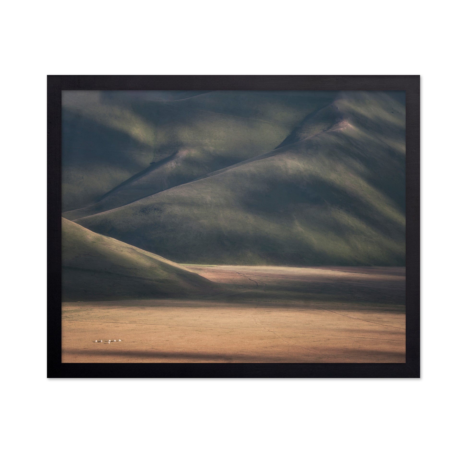 Rolling Hills Light