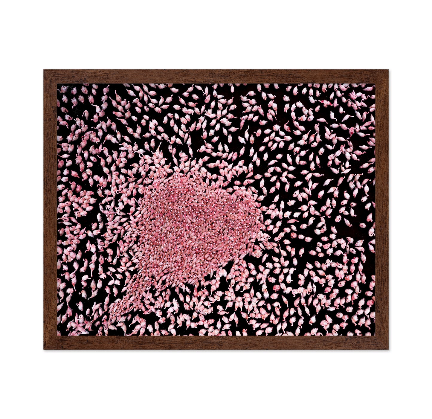 Flamingo Heart No1