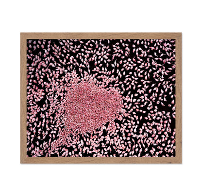 Flamingo Heart No1
