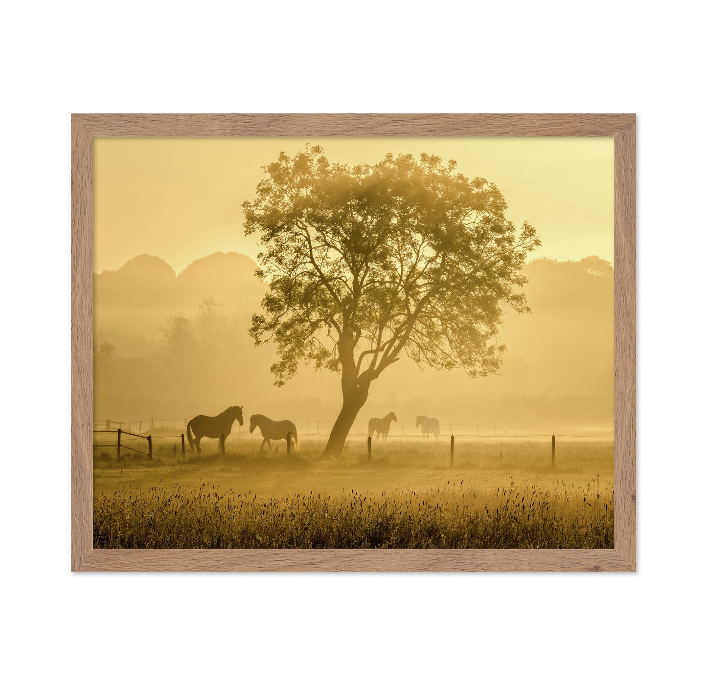 Horses in Morning Mist