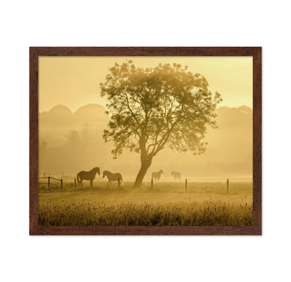 Horses in Morning Mist