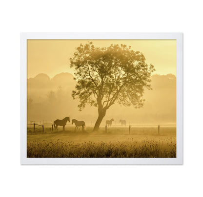 Horses in Morning Mist