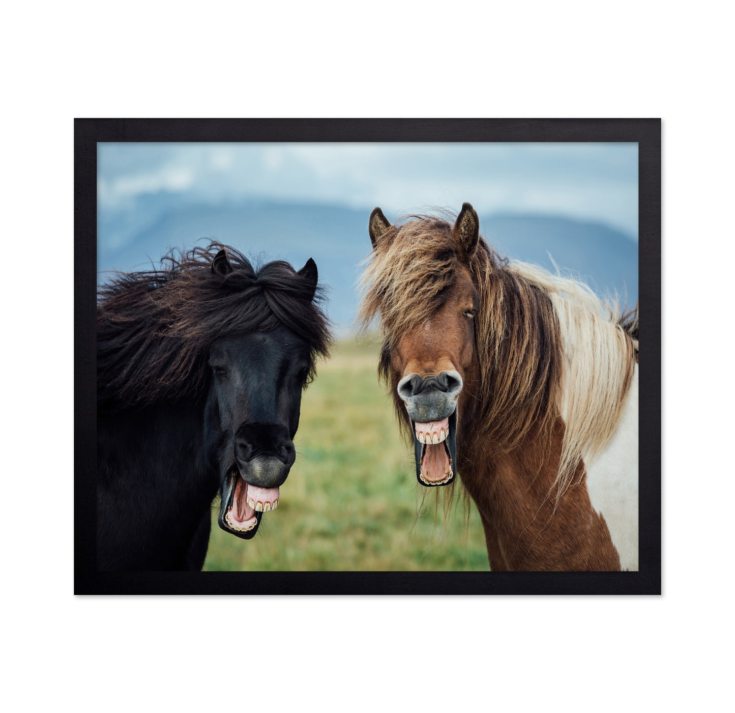 Laughing Horses