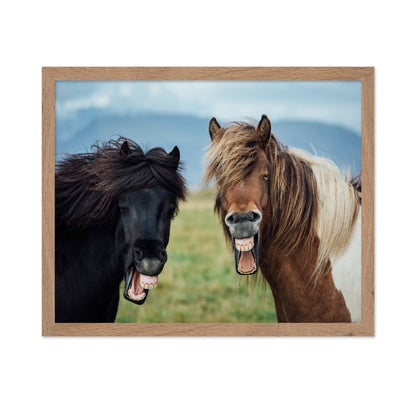 Laughing Horses