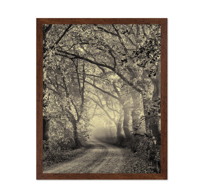 Misty Forest Path