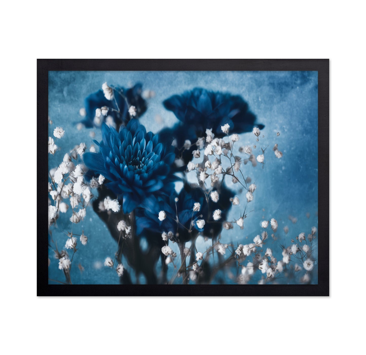 Blue Dahlia Bloom