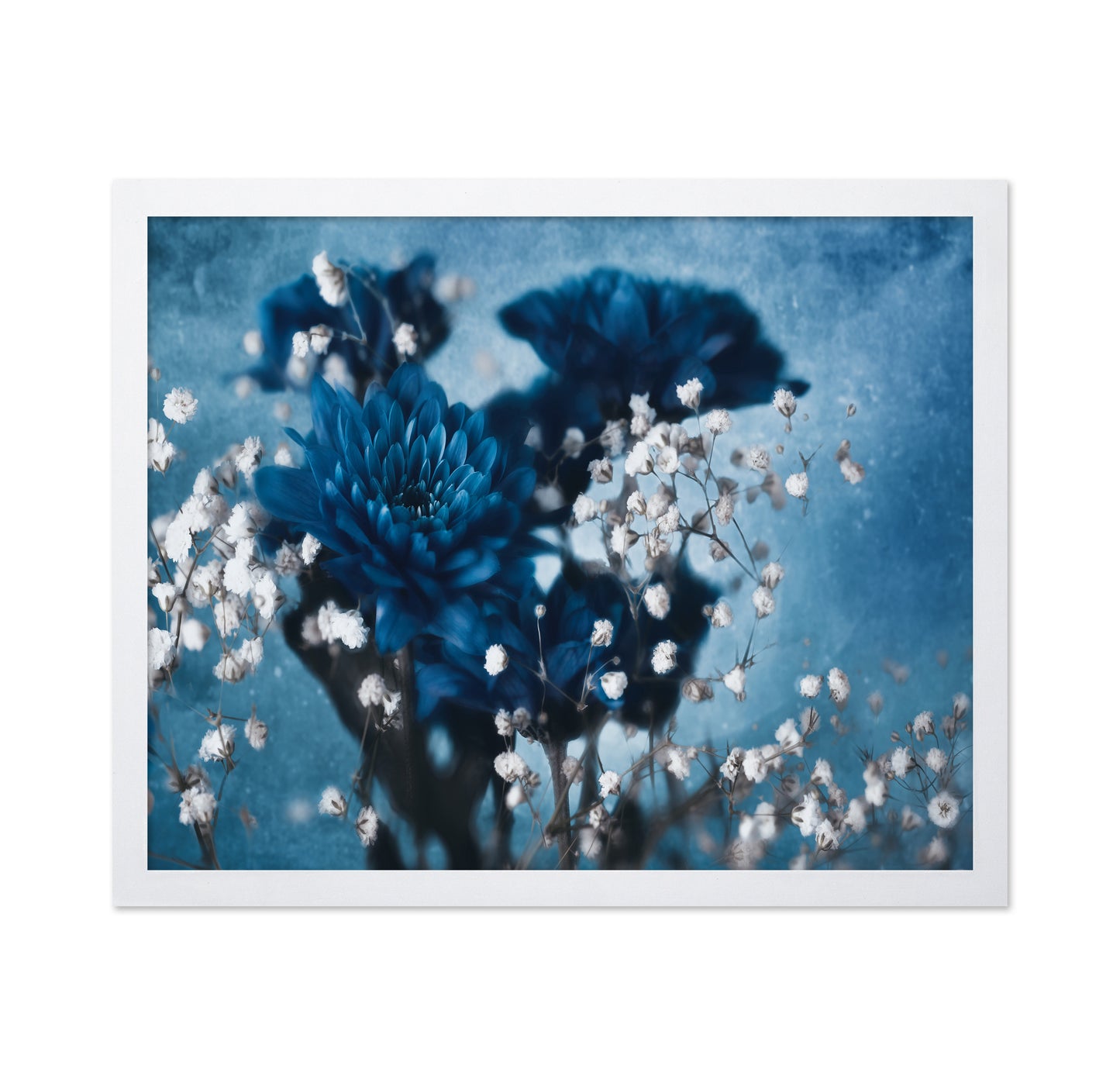 Blue Dahlia Bloom