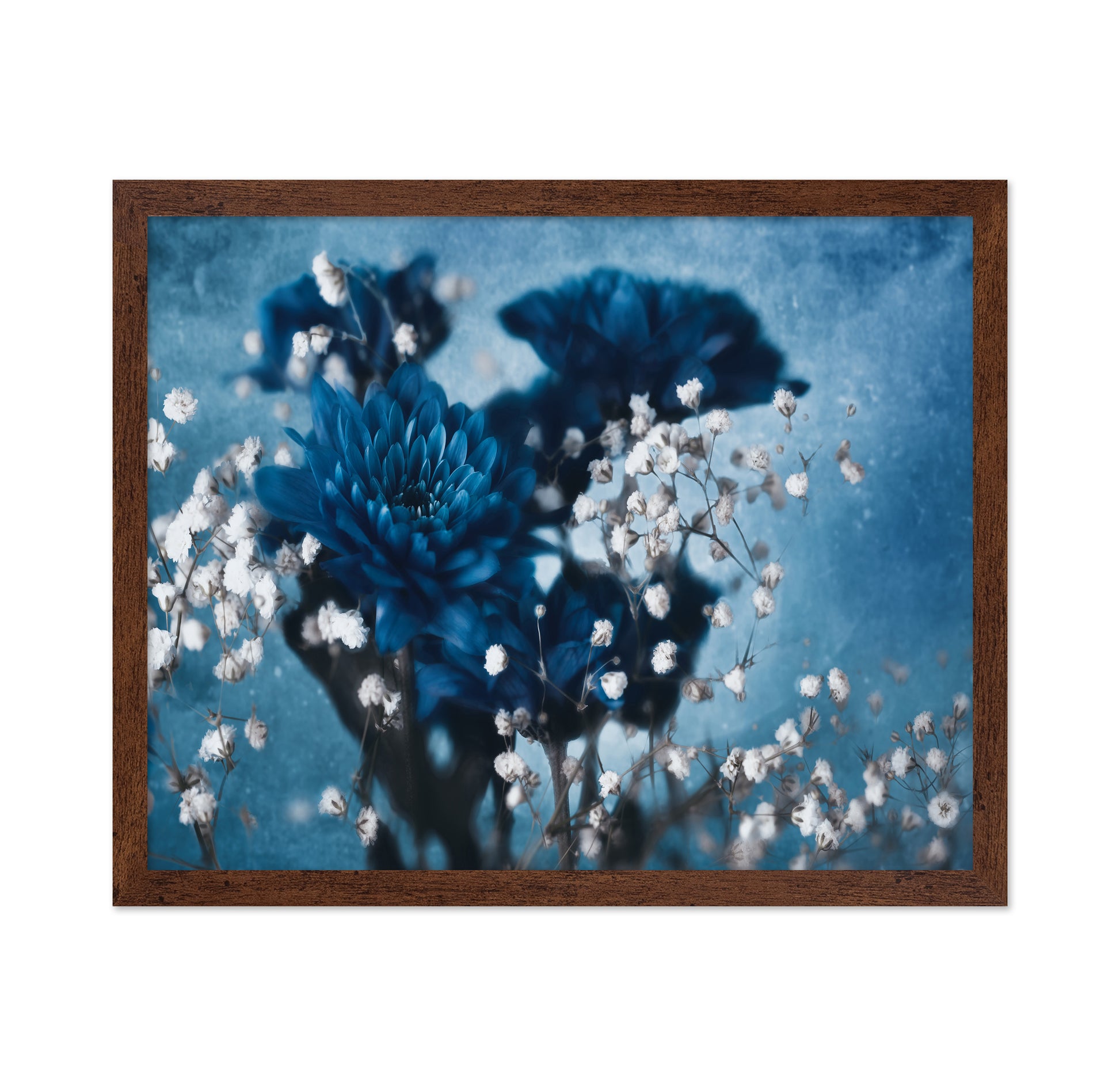 Blue Dahlia Bloom