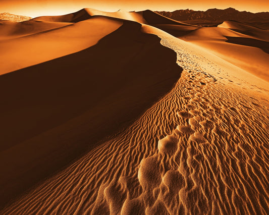 Desert Sand Dunes