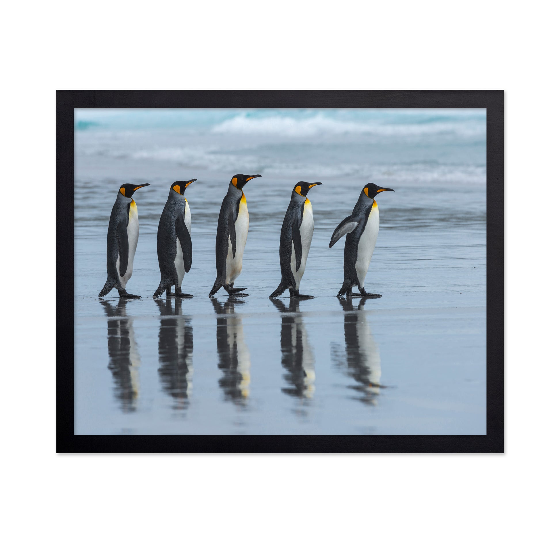 Penguin Lineup