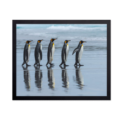 Penguin Lineup