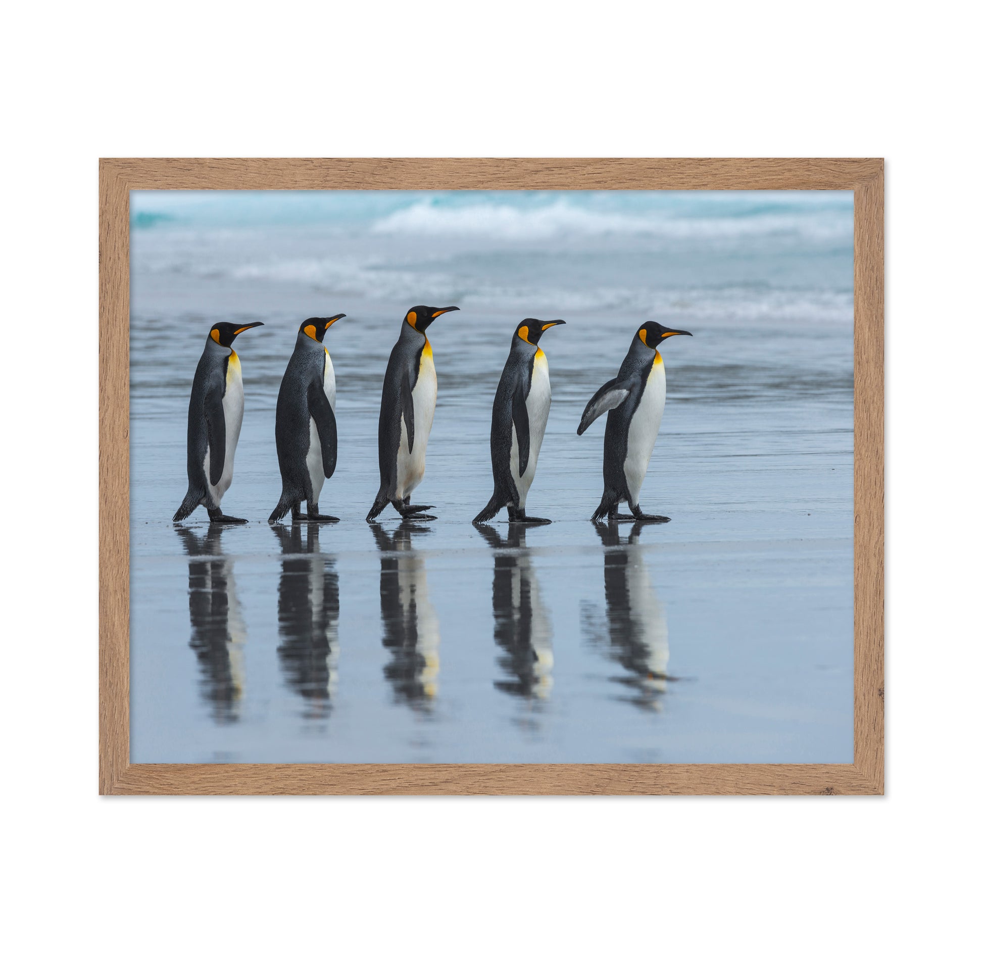 Penguin Lineup