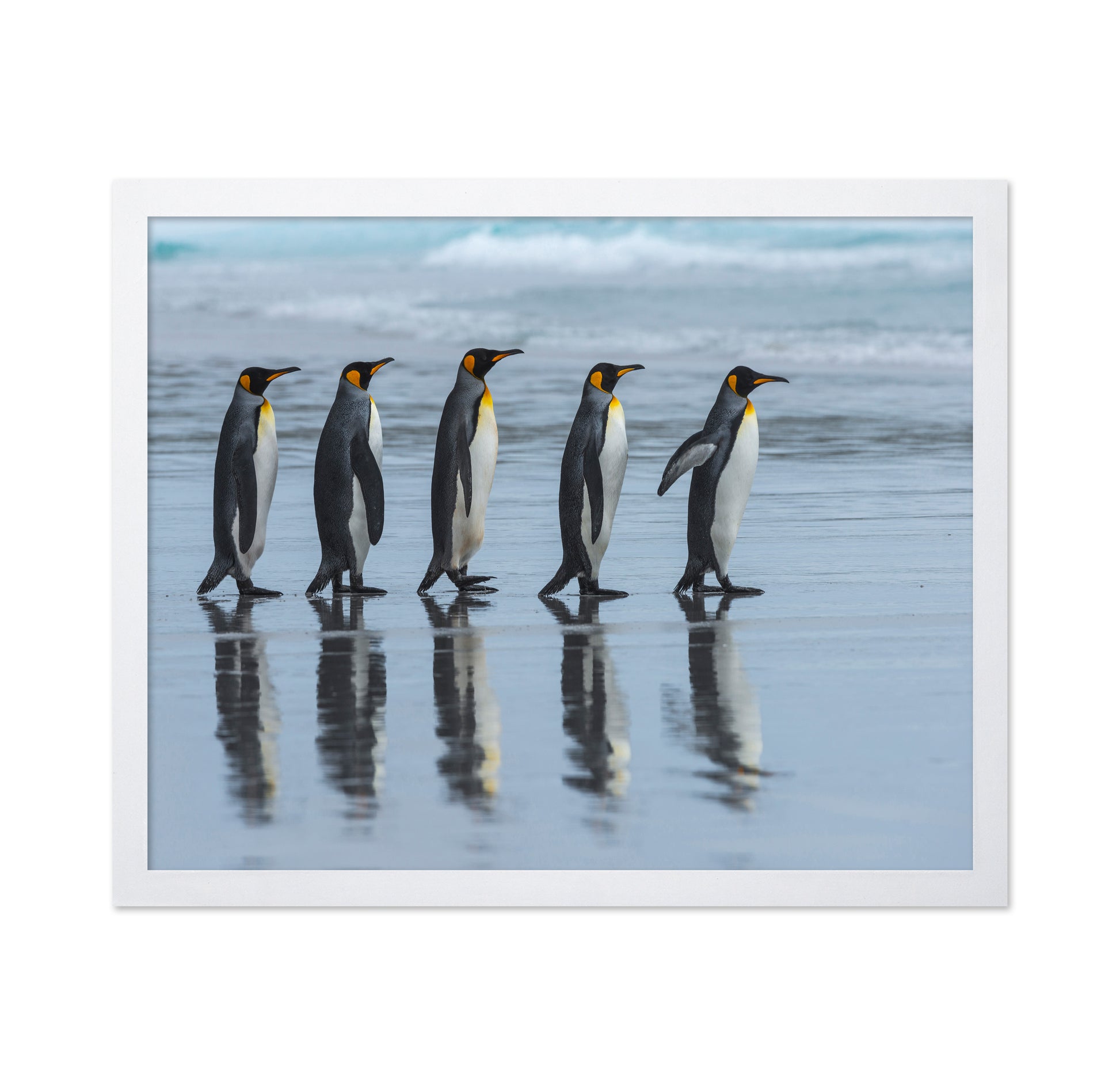Penguin Lineup