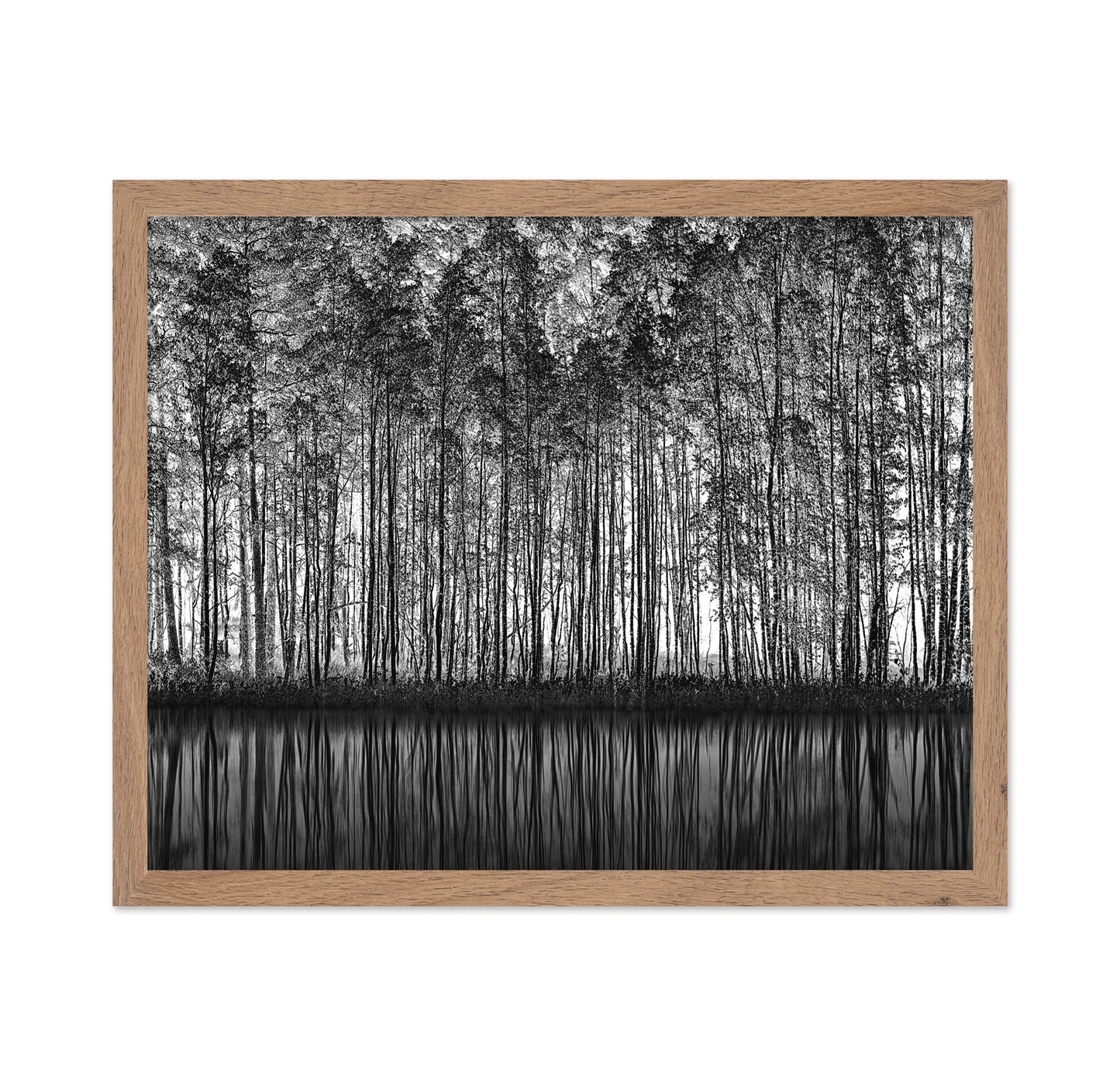Forest Reflection