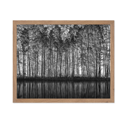 Forest Reflection