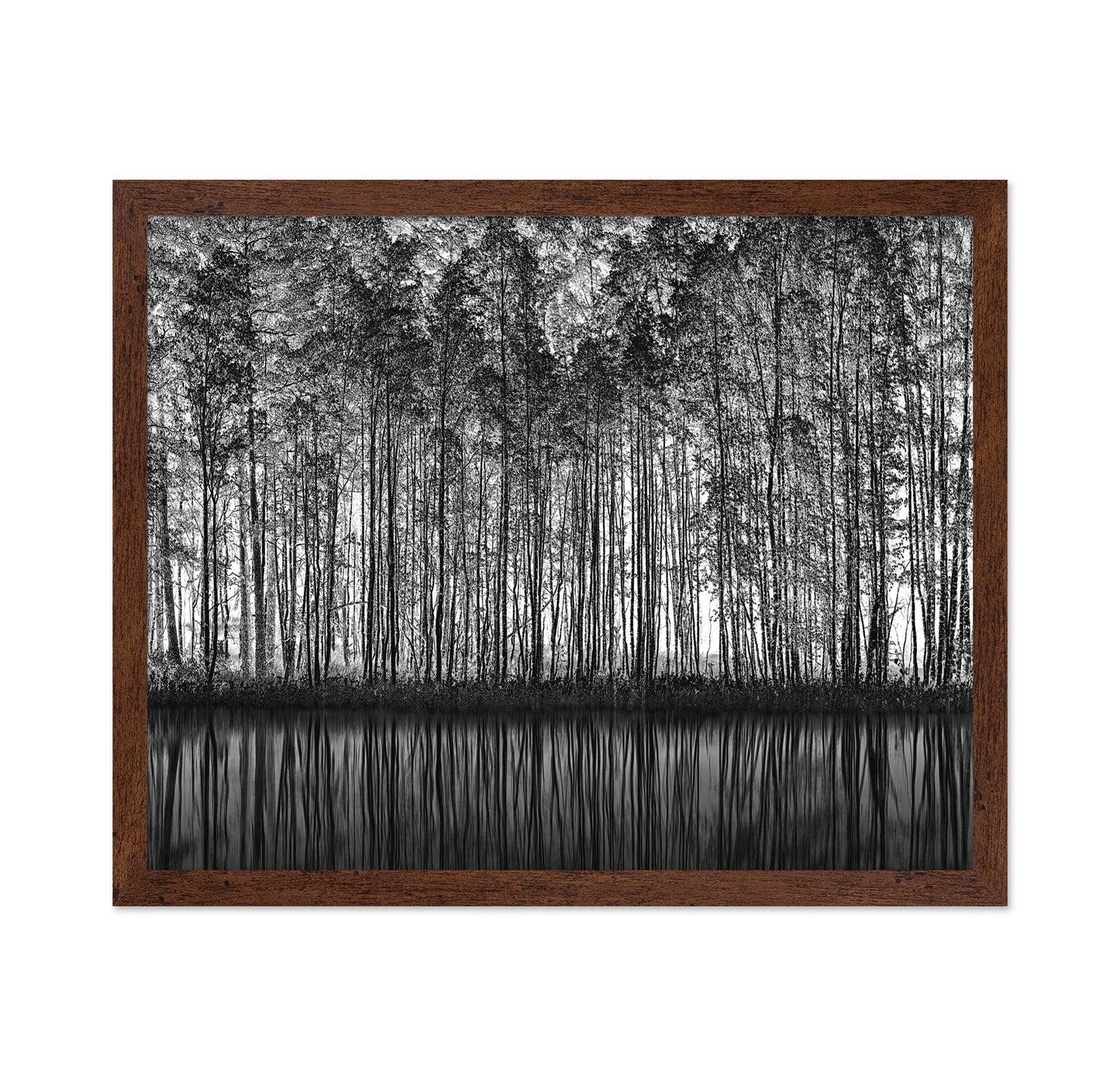 Forest Reflection