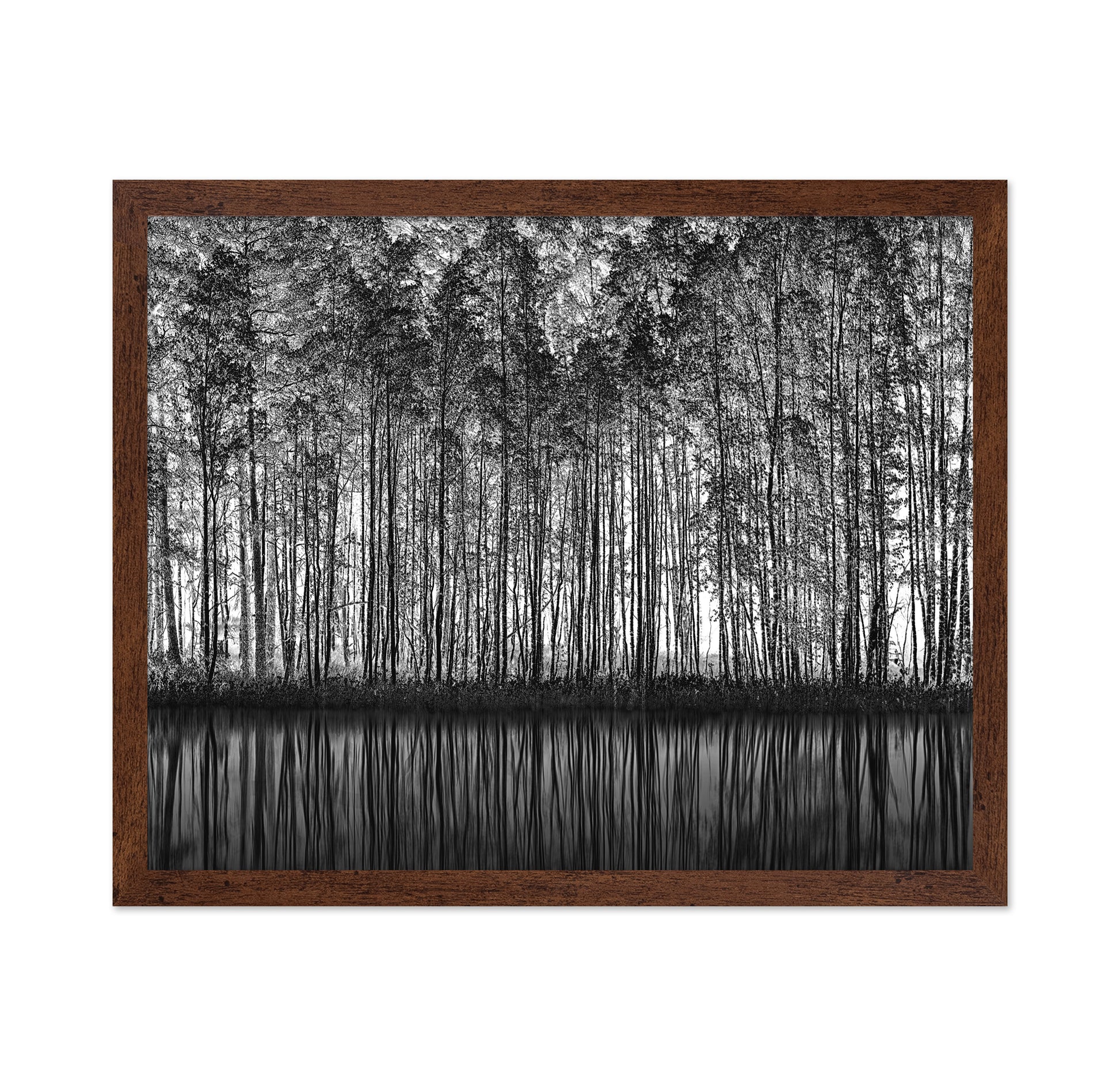 Forest Reflection