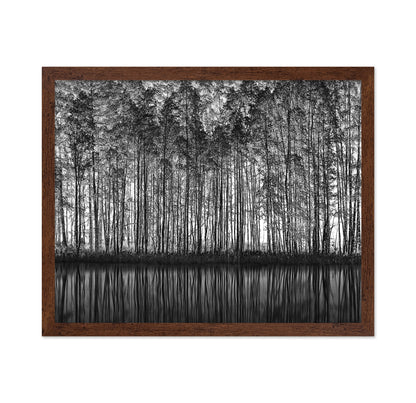 Forest Reflection