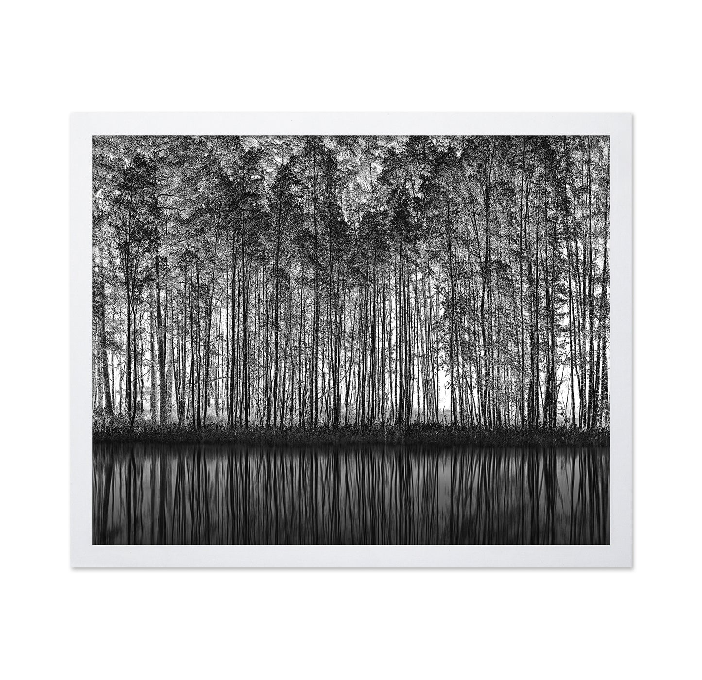 Forest Reflection