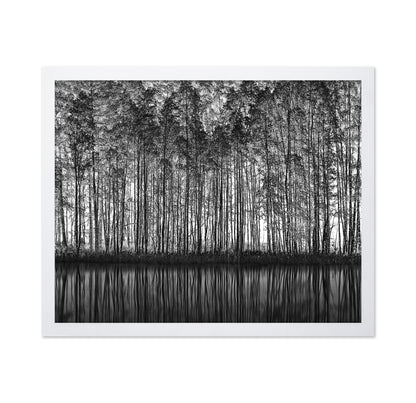 Forest Reflection