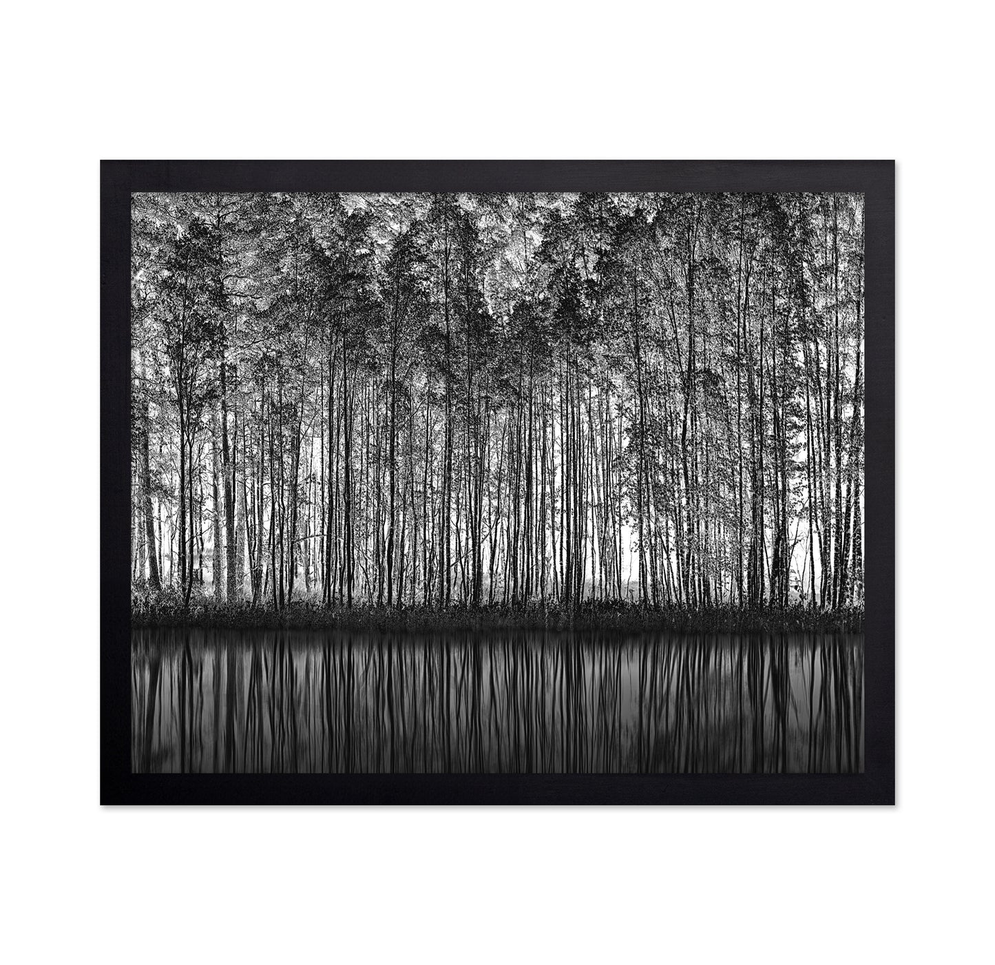 Forest Reflection