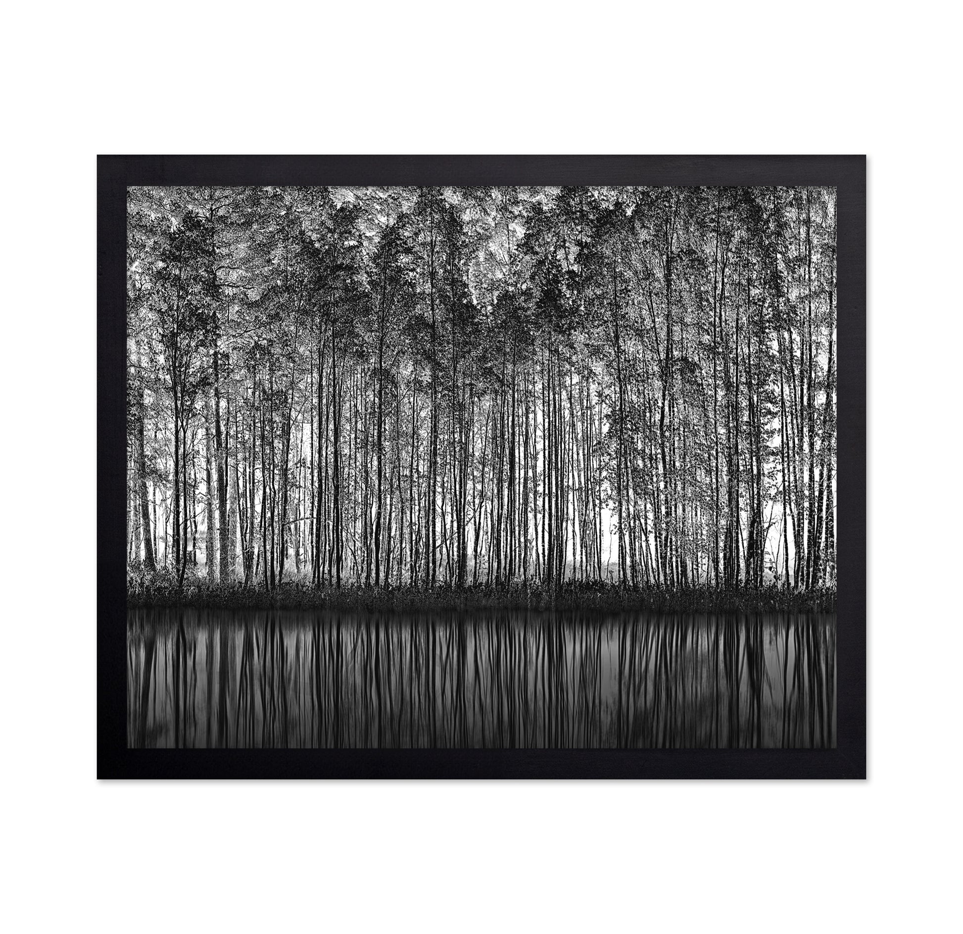 Forest Reflection