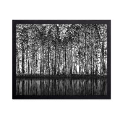 Forest Reflection