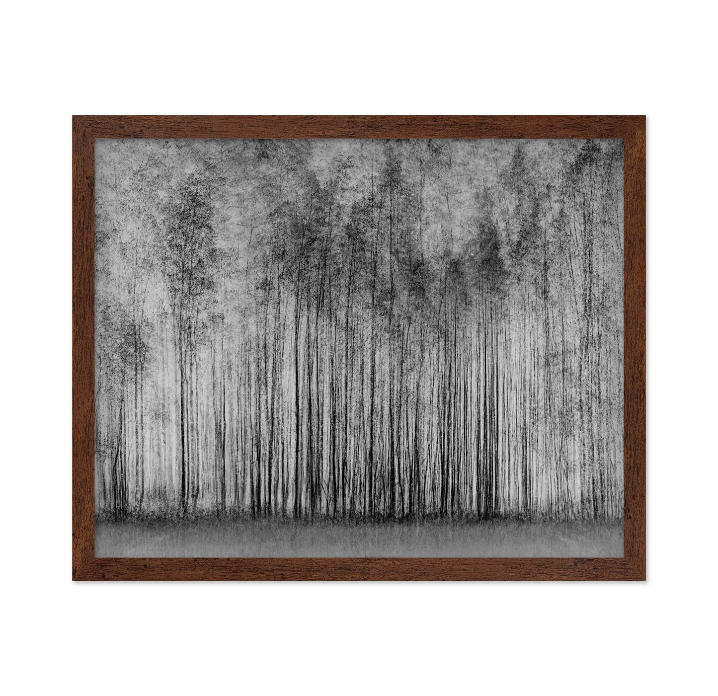 Dense Forest Lines