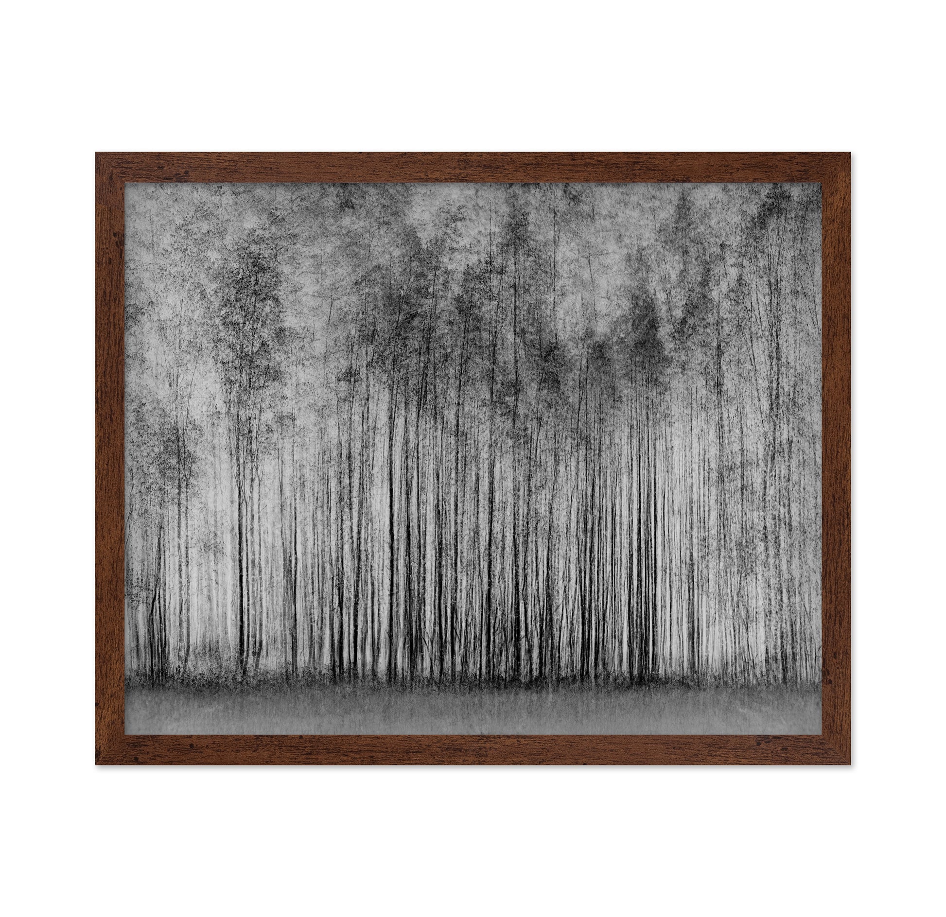 Dense Forest Lines