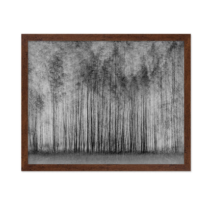 Dense Forest Lines