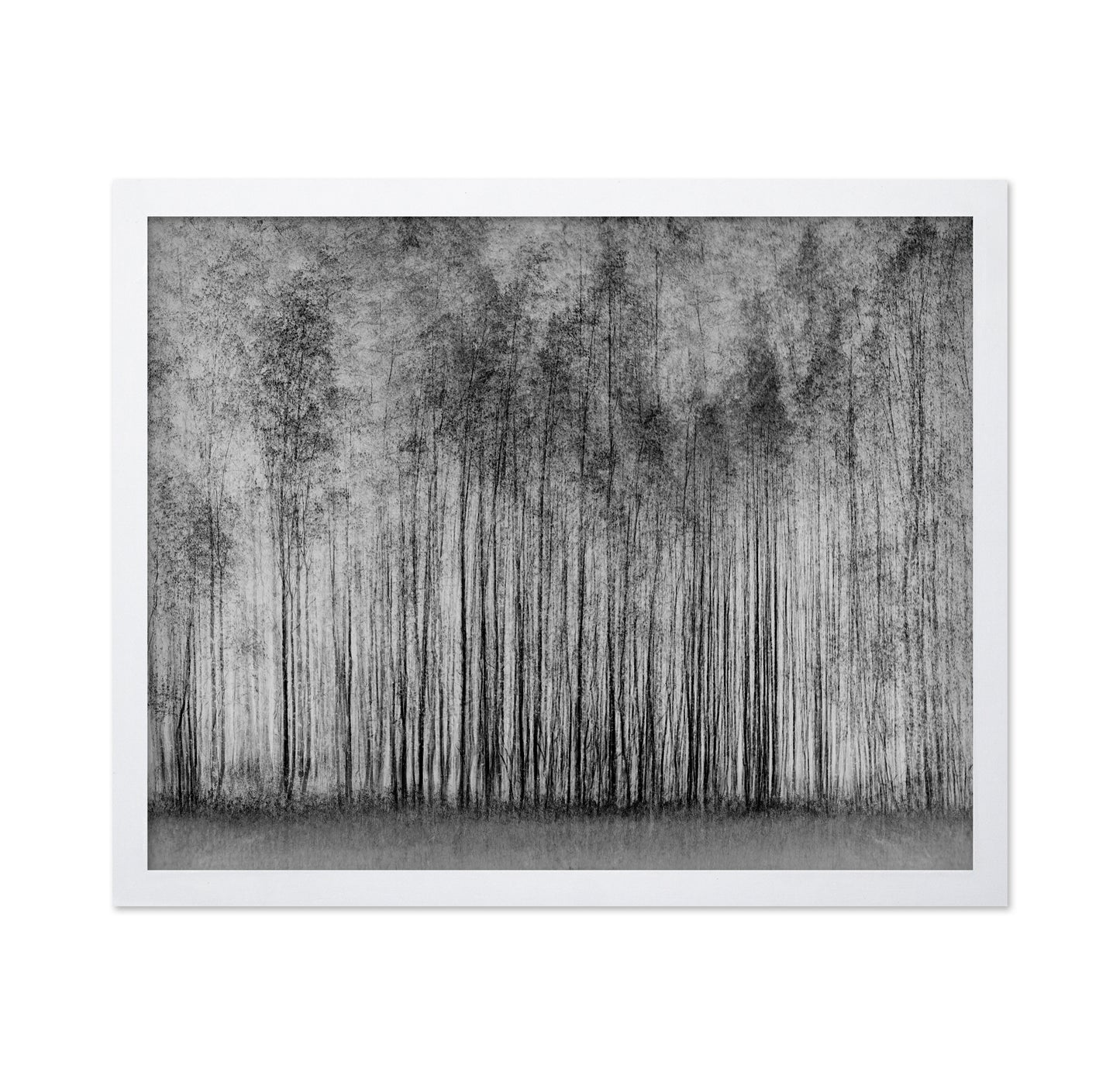 Dense Forest Lines