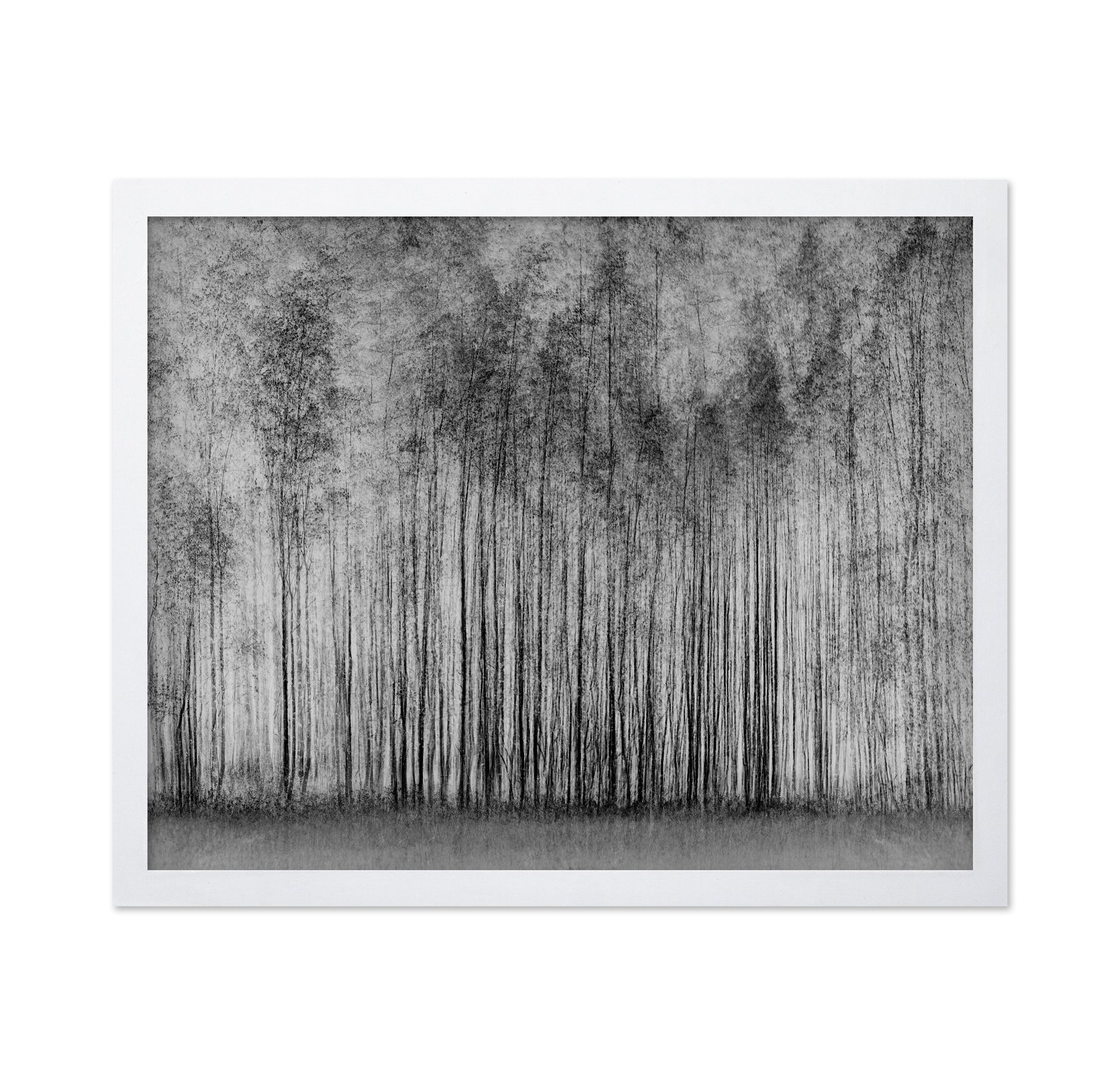 Dense Forest Lines