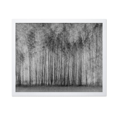 Dense Forest Lines